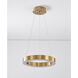 Canada LED 16 inch Gold LED Chandelier Ceiling Light
